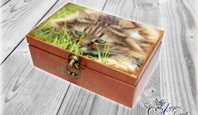 Decoupage Tutorial - Wooden Box with Cat